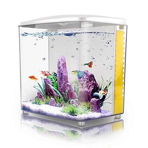 1.2Gallon Betta Aquarium Starter Kits Square Fish Tank with LED Light and Filter Pump