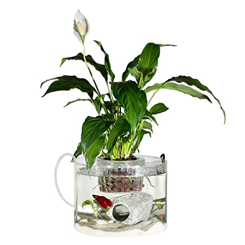 Aquaponics Fish/ Betta Acrylic Tank and Hydroponic Planter, 2.2 Gallon, Growing System and Plant Holder