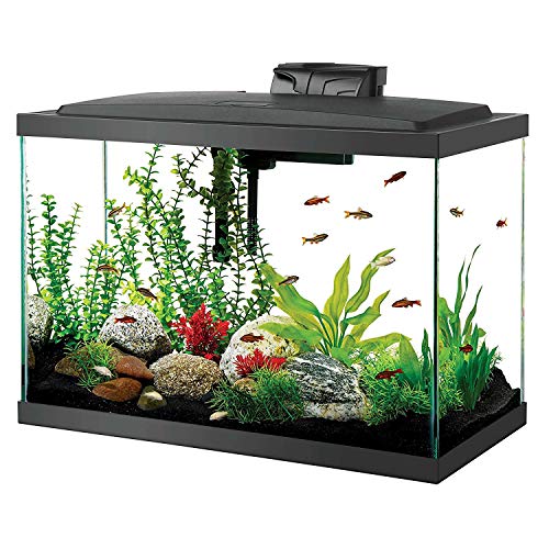 Aqueon Aquarium Fish Tank Starter Kit with LED Lighting 20 Gallon High Fish Tank