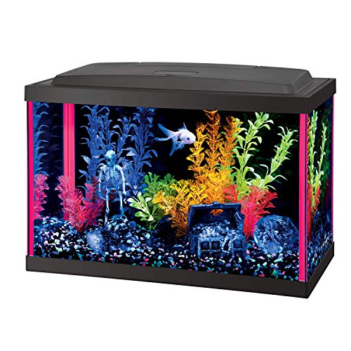 Aqueon NeoGlow LED Aquarium Kit Pink 5.5