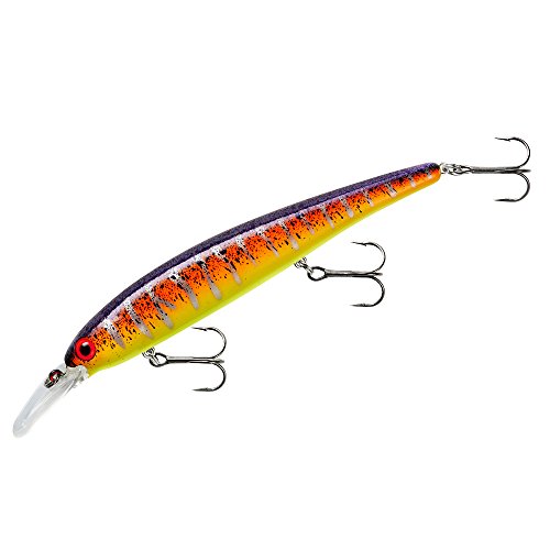 Band-It Walleye Shallow Minnow Jerkbait Fishing Lure, Fishing Accessories, Dives ro 12-feet Deep, Wild Thing, 4.5 Inch, 5/8 Ounce, (BDTWBS1D23)