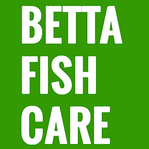 BETTA FISH CARE - YOUR GUIDE TO A BETTER BETTA FISH TANK