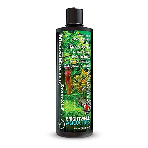 Brightwell Aquatics MicroBacterStart XLF - 15X Concentrated Live Tank Starter for Cycling New Freshwater Aquarium and Establishing Nitrifying Bacteria