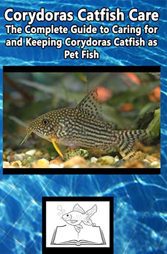 Corydoras Catfish Care: The Complete Guide to Caring for and Keeping Corydoras Catfish as Pet Fish