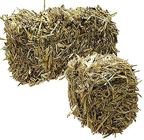 Green Vista Barley Straw Bales for Farm Pond Water Treatment - 20 to 25 Pounds - Treats 1 Acre Farm or Retention Pond for 6 Months! - Supports Water Balance - Safe for Koi, Fish and Plants