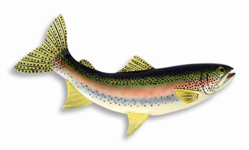 Hand Painted Rainbow Trout Wall Mount Decor Plaque Game Fish Replica 18"