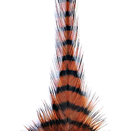 Montana Fly MFC Barred Saddle Hackle Rust/Black