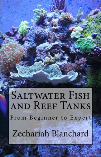 Saltwater Fish and Reef Tanks: From Beginner to Expert