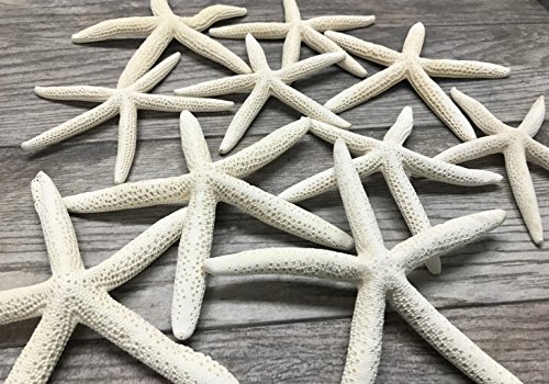 Starfish Decor - 10 White Finger Star Fish 6-8 Inch - Starfish for Crafts - White Starfish Wall Décor - Beach Wedding Starfish - Beach Starfish Décor - Star Fish Decorations