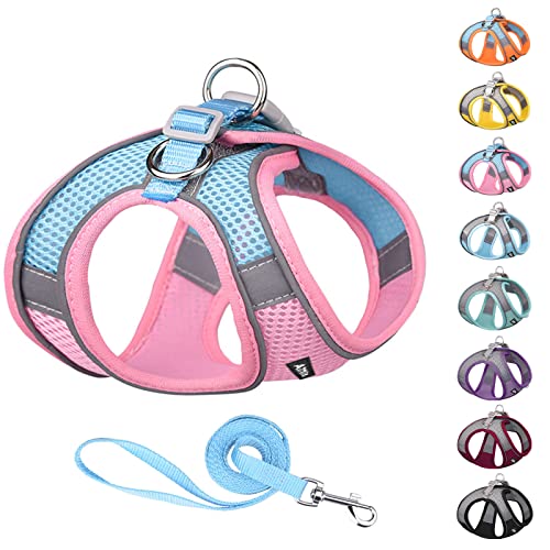 AIITLE Soft Mesh Dog Harness and Leash Set for Walking - Step in Vest Harness,Reflective Bands, Adjustable No Pull Pet Supplies, for Small Dogs and House Cats Pink XS