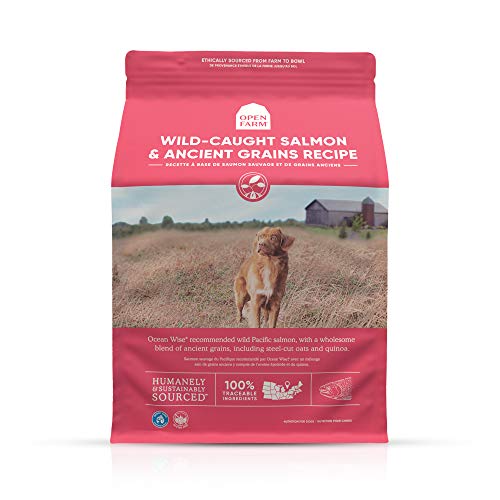 Open Farm Wild-Caught Salmon & Ancient Grains Dry Dog Food, Sustainably Fished Salmon Recipe with Wholesome Grains and No Artificial Flavors or Preservatives, 4 lbs