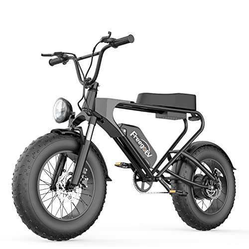 20 inch 1200W Electric Cruiser Bike For Adults, DK200 Electric Dirt Bicycle with 48V 20Ah Removable Battery, Hydraulic Disc Brake E-Bike, Fat Tire Off-road Motorbike Motorcycle,40Miles Long Range