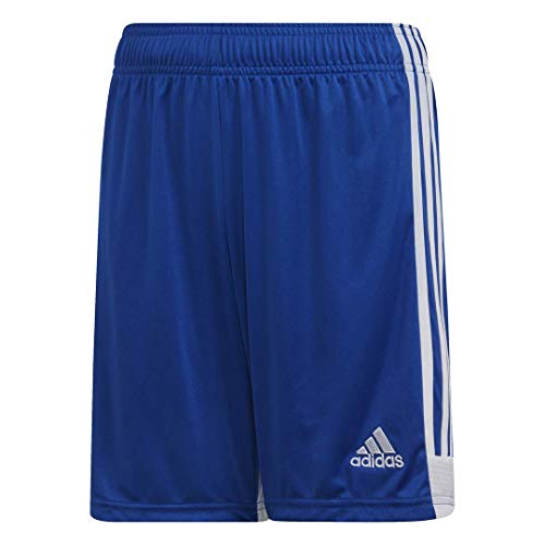 adidas boys Tastigo 19 Short Bold Blue/White Medium