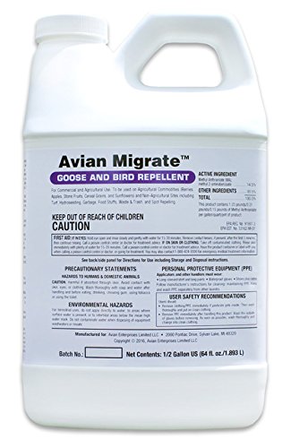 Avian Migrate Goose Deterrent, 1/2 Gallon, Bird Repellent Concentrate, Geese Repellent, Non-Toxic, Made in The USA, Removes Geese from Beaches, Yards, Ponds, Parks and Ground (64 Fl Oz)