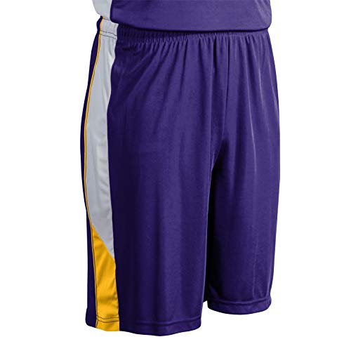 CHAMPRO Men's Standard Rebel Adult Basketball Athletic Shorts, Purple, Gold, White, Medium