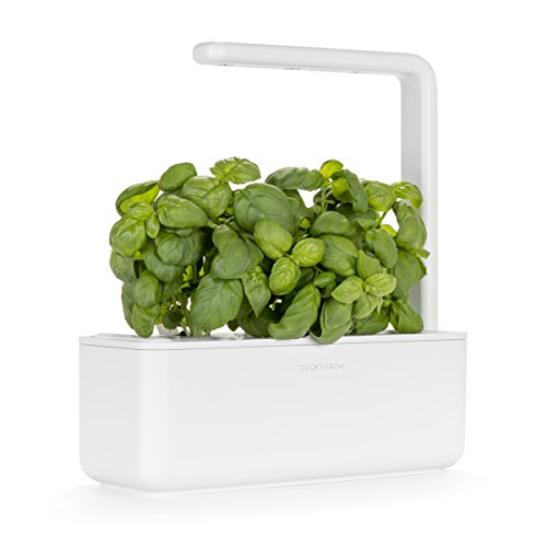 Click & Grow Indoor Herb Garden Kit with Grow Light | Smart Garden for Home Kitchen Windowsill | Easier Than Hydroponics Growing System | Vegetable Gardening Starter (3 Basil Pods Included), White