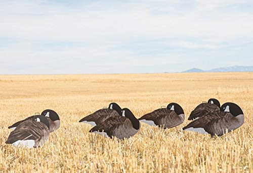 Dive Bomb Industries 1 Dozen V2 Sleeper Canada Silhouette Decoys