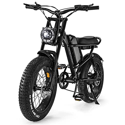 Fat Tire Electric Bike,48V750W Adult Electric Bicycles,28Mph 15.6Ah Ebikes for Adults,Electric Mountain Bike Snow Bike Pedal Assist E Bike Mopeds for Adults with 20'' Off Road Tires Electric Dirt Bike