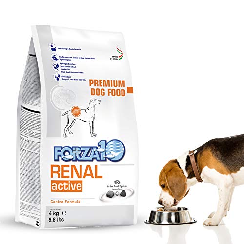 Forza10 Kidney Dog Food, Dry Renal Dog Food for Adult Dogs, Renal Failure Dog Food 8.8 Pound Bag, Fish Flavor Kidney Failure Dog Food for All Breeds and Sizes, Kidney Care Dog Food