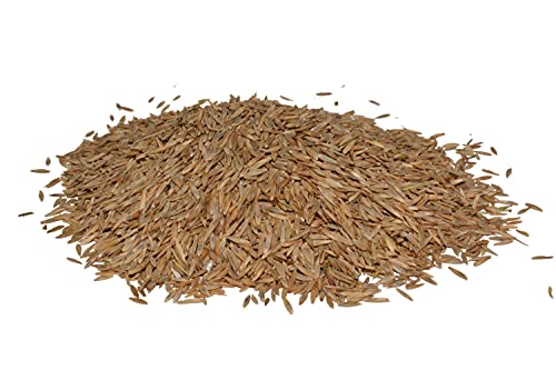 Hancock Seed Co. Turf Type Tall Fescue Grass Seed, High Wear & Drought Tolerant Turf, Lush Green Lawn, 50 LB Bag