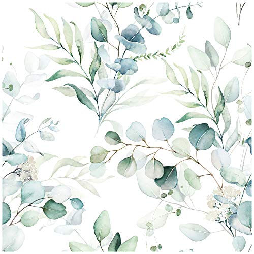 HAOKHOME 93042 Peel and Stick Wallpaper Green/White Eucalyptus Leaf Floral Wall Mural Home Nursery Boho Decor 17.7in x 9.8ft