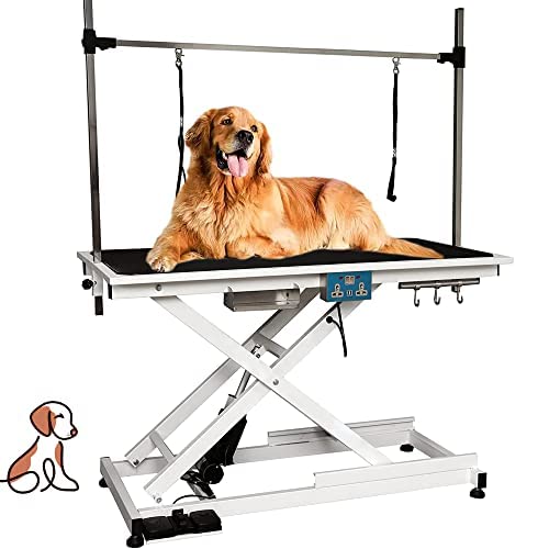 Heavy Duty Electric Lifting Pet Dog Grooming Table for Large Dogs with Overhead Arm, Anti-Skid Rubber Desktop and Powerful Motor, 50'' / White