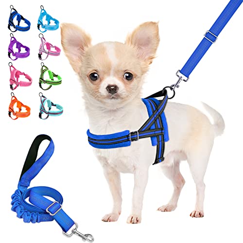 Lukovee Easy to Walk Dog Harness and Leash, Heavy Duty Adjustable Puppy Harness Soft Padded Reflective Vest Harness Anti-Twist 4FT Pet Lead Quick Fit Lightweight for Small Dog Cat (XX-Small, Blue)