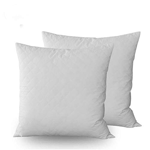 Premium Duck Down Feather Throw Pillow Inserts(Set of 2)-100% Cotton Cover, Square,Luxury Soft Plush,Premium Stuffer Down,Hand Wash