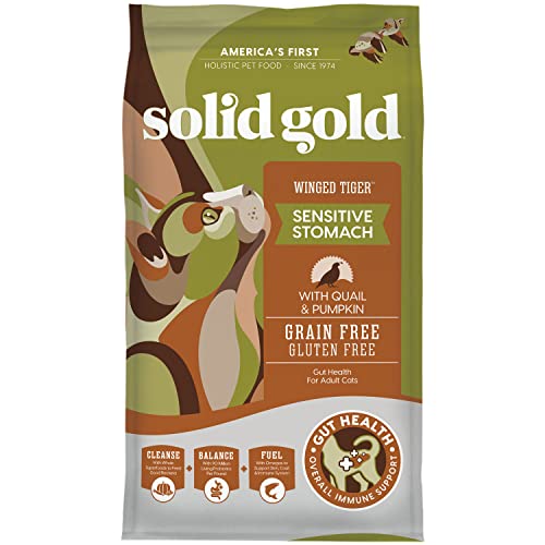 Solid Gold Sensitive Stomach Dry Cat Food - Made with Real Quail and Pumpkin - Winged Tiger Grain Free Cat Food for Adult and Senior Cats - Promotes Gut Health and Immune Support - 6 lb