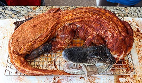 Whole Alligator - Skinned with Head and Feet on (Medium)