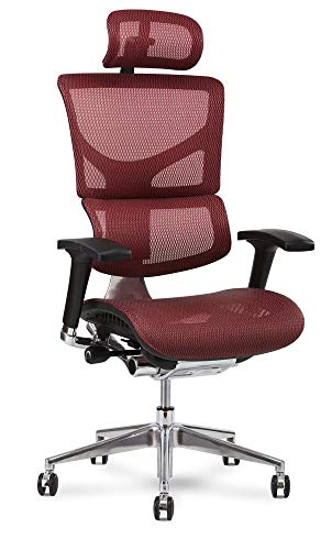 X-Chair X2 Management Task Chair, Red K-Sport Mesh Fabric with Headrest - Ergonomic Office Seat/Dynamic Variable Lumbar Support/Floating Recline/Highly Adjustable/Perfect for Long Work Days