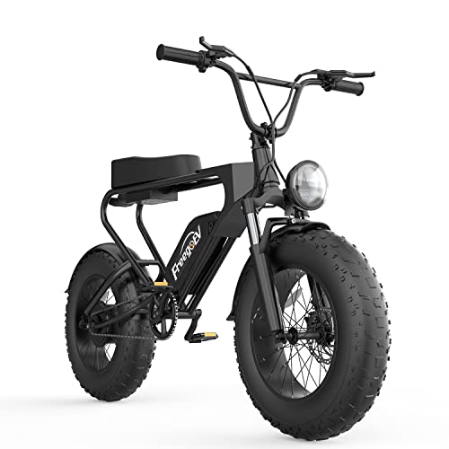 1200W Electric Bike for Adults, DK200 20'' Off-Road Electric Fat Tire Bike for Adult with 48V 20Ah Removable Battery, 40 Miles Max Speed All Terrain Pedal Assist Ebike, Snow Beach Mountain E-Bike