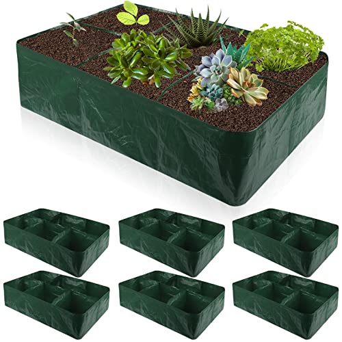 6 Pack 35 Gallon Raised Garden Beds Rectangle Garden Planting Bed with 6 Divided Grids Drainage Holes 4 Pcs White Gloves Warehouse Gloves for Vegetables Flowers Tomatoes Herb (Polypropylene, Cotton)