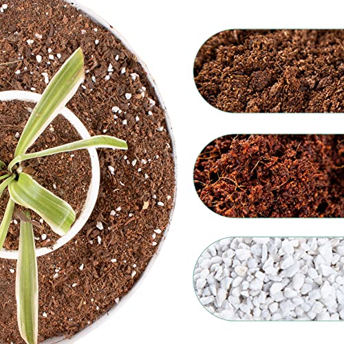 6 Qt Potting Soil, Organic Potting Mix for Indoor and Outdoor Plants, Succulent and Cactus Soil Potting Mix with Fast Draining Formula Natural Mixture Bonsai Soil for Plant Fast Growing