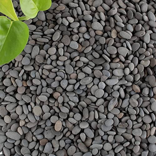 Black Rock, CJGQ 18lb River Rocks Pebbles for Plants Succulents, Decorative Outdoor Landscaping Garden Rocks, Natural Small Mexican Beach Pebbles Aquarium Rocks Gravel for Fish Tanks Vase Yard Decor