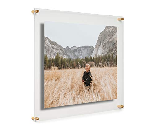 Cool Modern Frames Clear Floating Double Panel Acrylic Picture Frame, 16x20-Inch, Gold Hardware