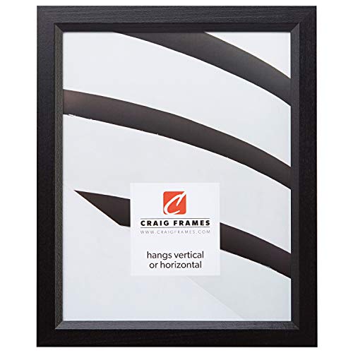 Craig Frames 7171610BKC2230AAC 0.825-Inch Wide Picture/Poster Frame in Wood Grain Finish, 22 by 30-Inch, Solid Black