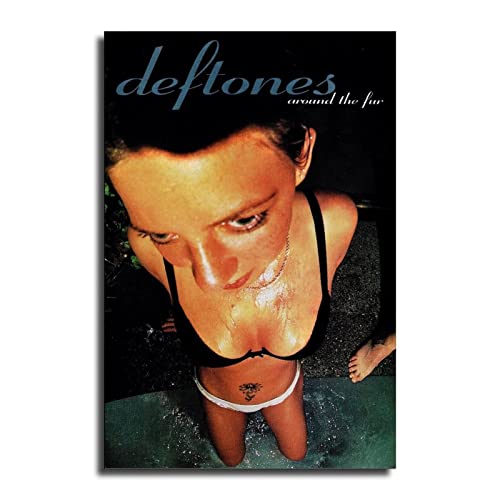 Deftone Around The Fur Poster Decorative Painting Canvas Wall Art Living Room Posters Bedroom Painting 16x24inch(40x60cm)