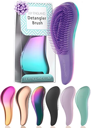 Detangling Brush for Curly Hair, Straight, Dry & Wet Hair - Brush for Thick Hair, Fine, Wavy, Black Natural Hair - Hair Detangler Brush for Kids, Women, Toddlers - Vegan Detangle Brush by Lily England