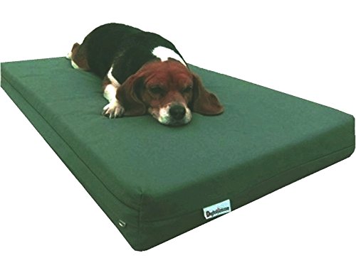 dogbed4less Orthopedic Gel Infused Memory Foam Dog Bed, Waterproof Liner with Durable Canvas Cover, 37X27X4 Inch