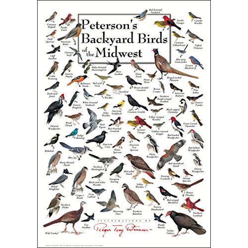 Earth Sky + Water - Peterson’s Backyard Birds of the Midwest