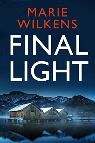 Final Light: EMP Survival in a Powerless World