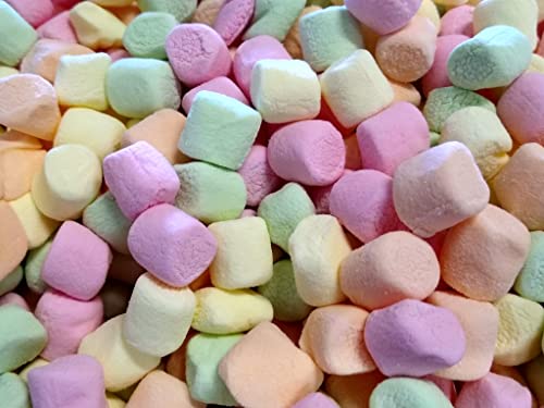 Fruit Flavored Mini Marshmallows - 10 Ounces of Assorted Orange Lemon Strawberry Lime Fresh Delicious Colorful Marshmallows