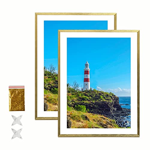 Gold Diamond Painting Frames 30x40cm Diamond Art Frame 12x16 Metal Picture Frame with Mat 10x14 in/25x35cm, 12x16 Aluminum Frame for Photos Posters Prints Artwork Wall Hanging Display - Gold 2 Pack