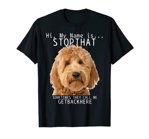 Goldendoodle Hi My Name Is Stop That Funny Dog Doodle Mom T-Shirt