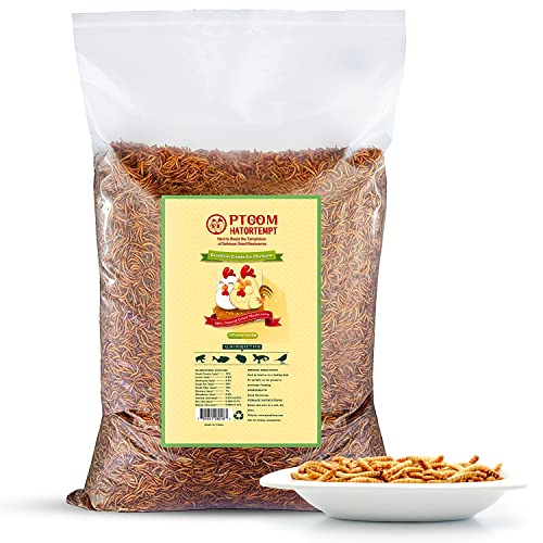 Hatortempt 10lbs Bulk Non-GMO Dried Mealworms for Reptile, Tortoise, Amphibian, Lizard, Wild Birds, Chickens, Duck, Poultry etc