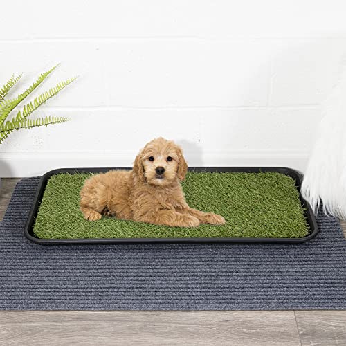 Indoor/Outdoor Waterproof Solid Design Non-Slip Rubber 15" x 30" Utility Pet Tray for Entryway, Backyard, Garage, 15" x 30", Green