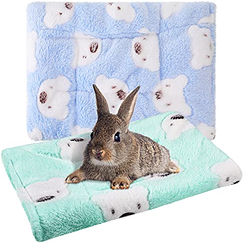 Jetec 2 Pieces Guinea Pig Bed Rabbit Bed Small Animal Hamster Warm Mats Winter Warm for Bunny Hamster Squirrel Hedgehog Chinchilla Small Animal Accessories(Green, Blue,Bear Pattern)