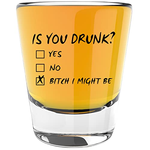 LitGifts Is You Drunk Shot Glass - Cute Shot Glasses for Women or Men - Funny Shot Glasses for Adults - Fun Gifts for Men or Women - 1.75 Ounce Glass Shot Glass