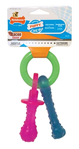 Nylabone Puppy Chew Teething Pacifier for Teething Puppies | Small/Regular - Up to 25 Ibs.